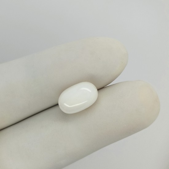 White Coral (Safed Moonga) 5.3 Ct Gem Quality White Coral (Safed Moonga) 5.3 Ct Gem Quality